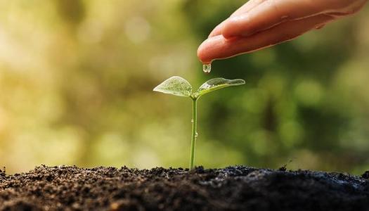 第十一屆中華環（huán）境獎啟動儀式在京舉行